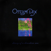 Diary of a Drunken Sun