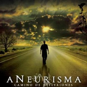 Camino De Reflexiones by Aneurisma