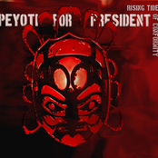 Survival Of The Fittest by Peyoti For President