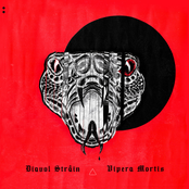 Diavol Strain: Vipera Mortis