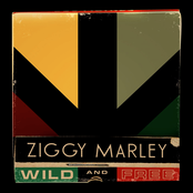 Ziggy Marley: Wild And Free