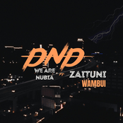 Dnd (feat. Zaituni Wambui) - Single