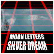 Silver Dream