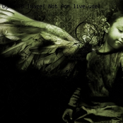 With A Wind To Death And Back To You