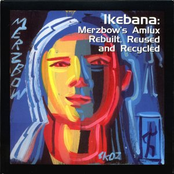 ikebana: merzbow's amlux rebuilt, reused and recycled