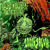 Split w/ Onion Terror