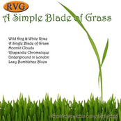 A Simple Blade of Grass