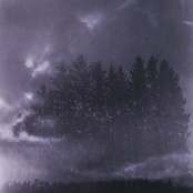 Now I Can See The Moon