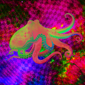 Vespertine (Deluxe Version)