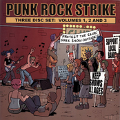Punk Rock Strike Vol. 2
