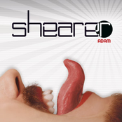 Bound by Shearer