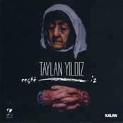 Taylan Yildiz