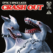Crash Out - Single