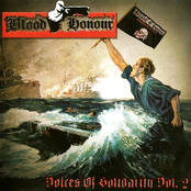 Blood & Honour - Voices of Solidarity Vol.2