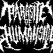 parasite of human side