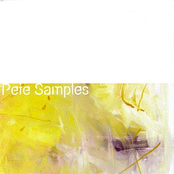 My Favorite Record by Pete Samples