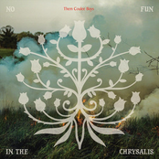 Them Coulee Boys: No Fun In The Chrysalis