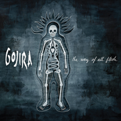 Gojira: The Way of All Flesh