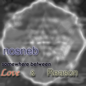 Somewhere Between Love and Reason