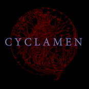 Princess Mononoke by Cyclamen