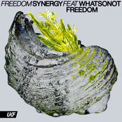 Freedom - Single