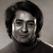 Ahmad Reza Ahmadi