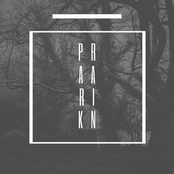 Park Rain