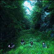 Split (Live Acoustic)