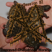 Depraved Chelydridae Worship Session #2