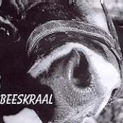 Beeskraal
