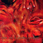 Sickz Ways to Incorrect Gynecology