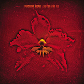 Machine Head: The Burning Red