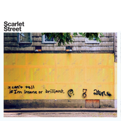 I Can't Tell If I'm Insane Or Brilliant