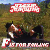 F Is For Failing - Single