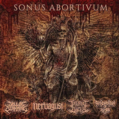 Sonus Abortivum