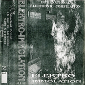 Elektro-Immolation