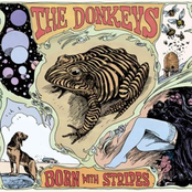 Born With Stripes by The Donkeys