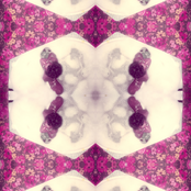 Pollen Fry for Hearing Bee