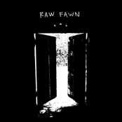 Raw Fawn