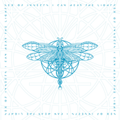 I Can Hear the Light (Manuel Tur Remixes)