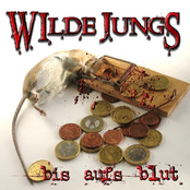 Es Wär Mal Wieder Schön by Wilde Jungs