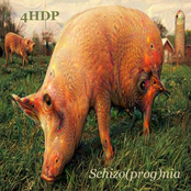 Schizoprognia
