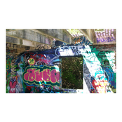 early bird gets the worm