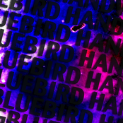 Bluebird Handwriting EP