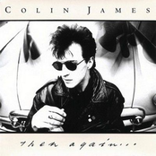 Voodoo Thing by Colin James