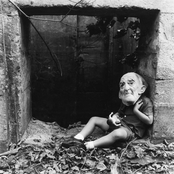 Loose Cattle: Someone's Monster