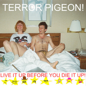 Terror Pigeon: Live It Up Before You Die It Up!