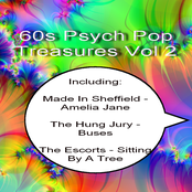 60s Psych Pop Treasures - Vol 2