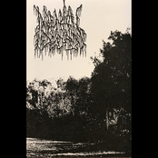 Live Conjuring MMXVII