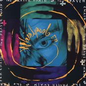 The Prayer Chain: Whirlpool EP